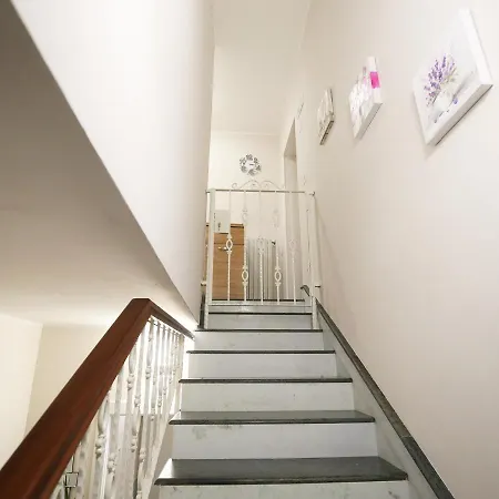 Olympus Vesuvio 庞贝