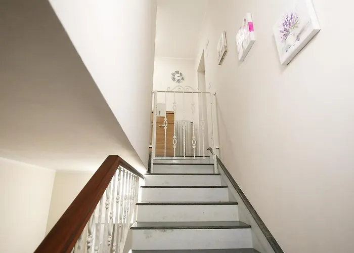 Olympus Vesuvio Πομπηία